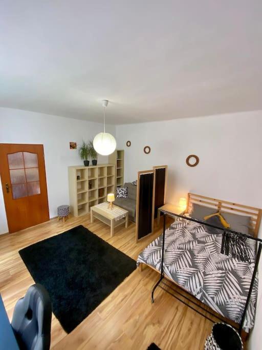 Apartamento Starowislna 66 Cracovia Exterior foto